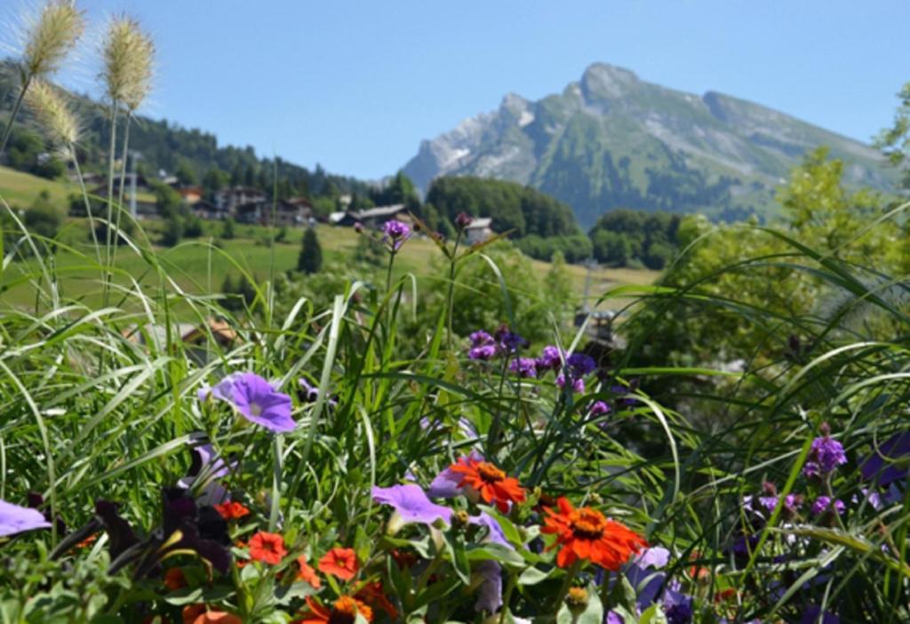 Hotel La Montagne La Clusaz Eksteriør bilde